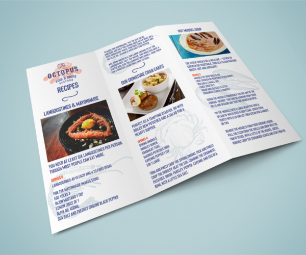leaflets-flyers-mailshots-high-quality-printing-promotional-cards-professional-design-company-corporate-a4-a5-printed-full-colour-dublin-meath-louth-kildare-ireland